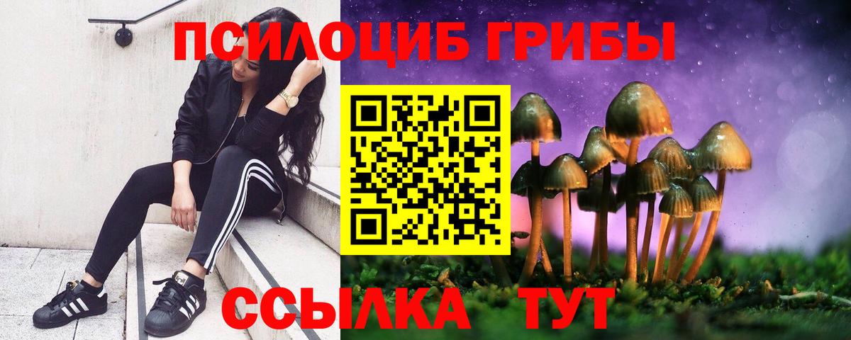 Соль-Илецк  даркнет сайт  Вход с VPN  Псилоцибиновые грибы мицелий 